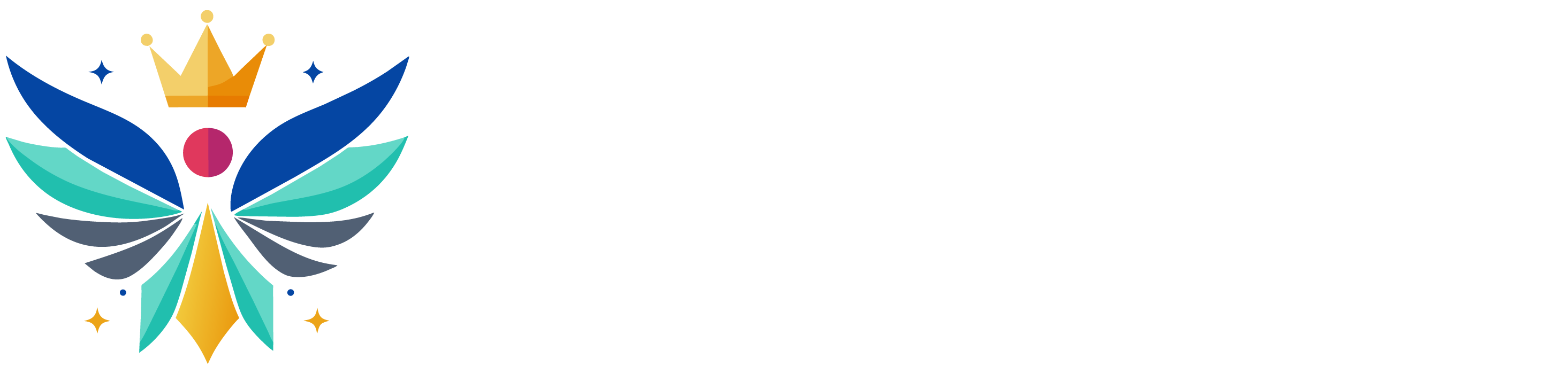 Boya renklendirme makinesi TÜRKİYE